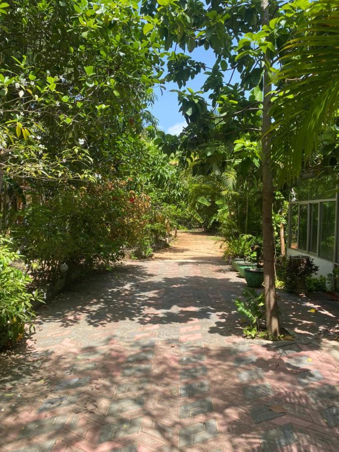 Island Breeze Inn นิลาเวลี ภายนอก รูปภาพ