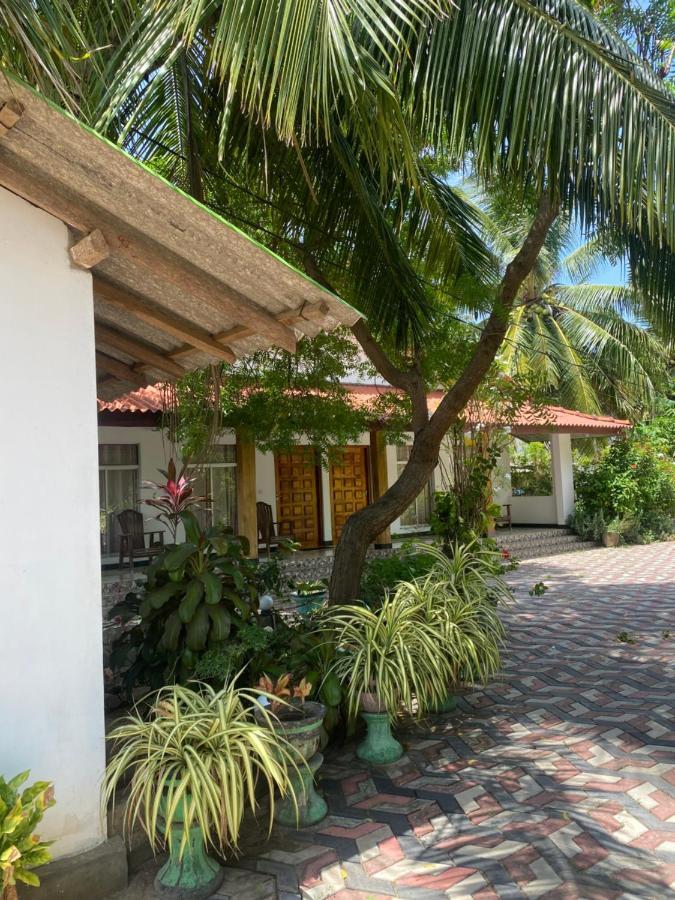 Island Breeze Inn นิลาเวลี ภายนอก รูปภาพ