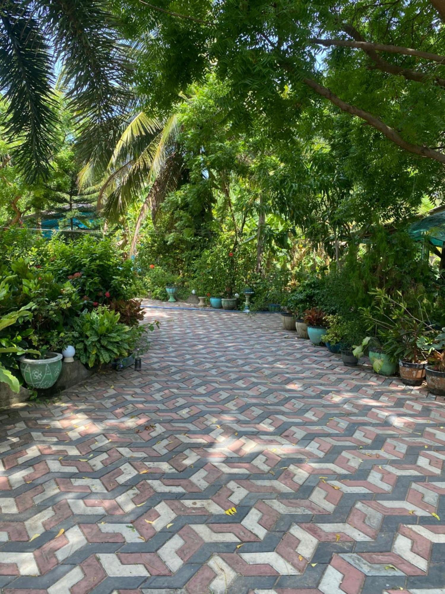Island Breeze Inn นิลาเวลี ภายนอก รูปภาพ
