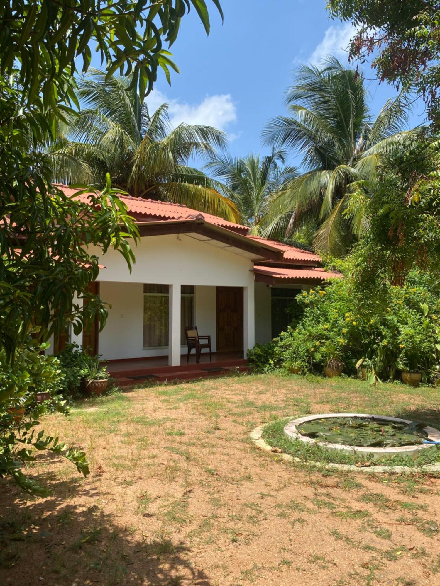 Island Breeze Inn นิลาเวลี ภายนอก รูปภาพ
